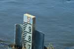 Water gauge indicator