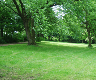 Park area with grass and trees